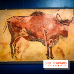 Préhistomania au Musée de l'Homme : l'exposition événement autour de l'art rupestre - nos photos - IMG20231115100219