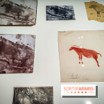 Préhistomania au Musée de l'Homme : l'exposition événement autour de l'art rupestre - nos photos - IMG20231115100438