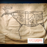 Préhistomania au Musée de l'Homme : l'exposition événement autour de l'art rupestre - nos photos - IMG20231115100042