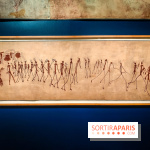 Préhistomania au Musée de l'Homme : l'exposition événement autour de l'art rupestre - nos photos - IMG20231115104618