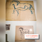 Préhistomania au Musée de l'Homme : l'exposition événement autour de l'art rupestre - nos photos - IMG20231115100300