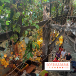 Le brunch du Comptoir Général - nos photos - image00042