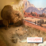 Le brunch du Comptoir Général - nos photos - image00001