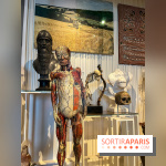 Le musée de l'Homme - collections permanentes