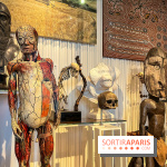 Le musée de l'Homme - collections permanentes