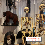 Le musée de l'Homme - collections permanentes - image00068