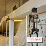 Le musée de l'Homme - collections permanentes