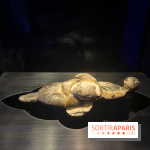 Le musée de l'Homme - collections permanentes