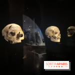 Le musée de l'Homme - collections permanentes - image00045