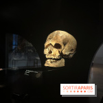Le musée de l'Homme - collections permanentes