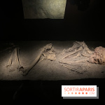 Le musée de l'Homme - collections permanentes