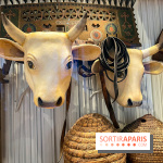 Le musée de l'Homme - collections permanentes - image00037