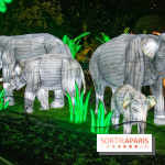 Jungle en voie d'illumination Jardin des Plantes
