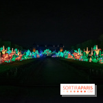 Jungle en voie d'illumination Jardin des Plantes
