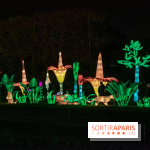 Jungle en voie d'illumination Jardin des Plantes