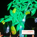 Jungle en voie d'illumination Jardin des Plantes