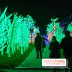 Jungle en voie d'illumination Jardin des Plantes