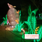 Jungle en voie d'illumination Jardin des Plantes