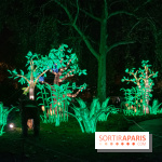 Jungle en voie d'illumination Jardin des Plantes