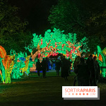 Jungle en voie d'illumination Jardin des Plantes
