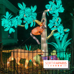 Jungle en voie d'illumination Jardin des Plantes