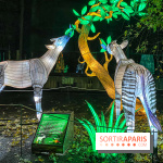 Jungle en voie d'illumination Jardin des Plantes