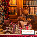 Le Grand Noël au Château de Vaux le Vicomte 2023 - photo -  A7C8307