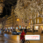 Les illuminations de Noël 2023 de l'Avenue Montaigne - cérémonie et décors féériques