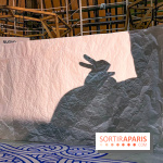 Spectacle d'ombres au Printemps Haussmann - IMG 4411 jpg