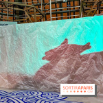 Spectacle d'ombres au Printemps Haussmann - IMG 4453 jpg