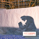 Spectacle d'ombres au Printemps Haussmann - IMG 4465 jpg