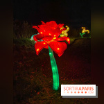 Odyssée Lumineuse, le festival des lumières au Parc Floral - IMG 2362