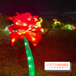 Odyssée Lumineuse, le festival des lumières au Parc Floral - IMG 2363