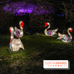 Odyssée Lumineuse, le festival des lumières au Parc Floral