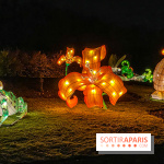 Odyssée Lumineuse, le festival des lumières au Parc Floral - IMG 2368