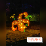 Odyssée Lumineuse, le festival des lumières au Parc Floral - IMG 2369