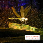 Odyssée Lumineuse, le festival des lumières au Parc Floral - IMG 2371