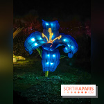 Odyssée Lumineuse, le festival des lumières au Parc Floral - IMG 2372