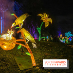 Odyssée Lumineuse, le festival des lumières au Parc Floral - IMG 2376
