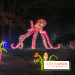 Odyssée Lumineuse, le festival des lumières au Parc Floral