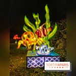 Odyssée Lumineuse, le festival des lumières au Parc Floral - IMG 2387