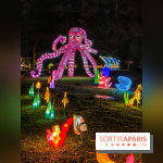 Odyssée Lumineuse, le festival des lumières au Parc Floral - IMG 2391