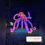 Odyssée Lumineuse, le festival des lumières au Parc Floral