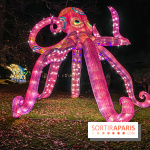 Odyssée Lumineuse, le festival des lumières au Parc Floral - IMG 2394