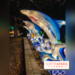 Odyssée Lumineuse, le festival des lumières au Parc Floral - IMG 2397