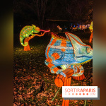 Odyssée Lumineuse, le festival des lumières au Parc Floral - IMG 2404