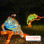 Odyssée Lumineuse, le festival des lumières au Parc Floral - IMG 2407