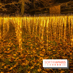 Odyssée Lumineuse, le festival des lumières au Parc Floral - IMG 2411