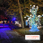 Odyssée Lumineuse, le festival des lumières au Parc Floral - IMG 2413