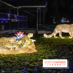 Odyssée Lumineuse, le festival des lumières au Parc Floral - IMG 2414